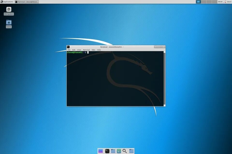 Установка kali linux windows. Терминал кали линукс. kali linux 2025.2. kali linux интерфейс 2025. kali linux 2025.4.