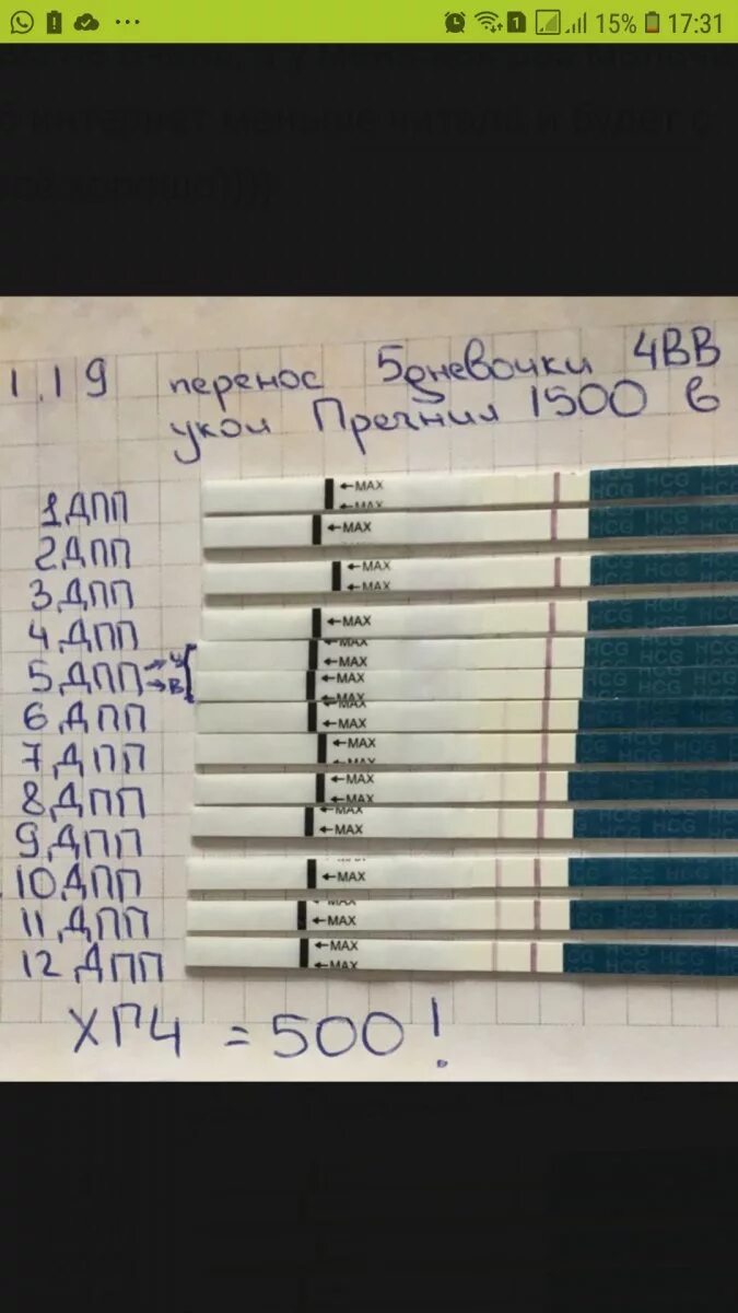 На какой день после эко тест покажет. Тест на беременность после эко. Тесты после подсадки. Тесты ХГЧ по дням после переноса. Тесты по дням после подсадки.