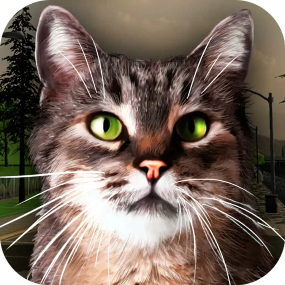 Street Cat игра. Симулятор кошки домашней. Игра симулятор кошки 3d. Cat Simulator 2015. Hello street cat live