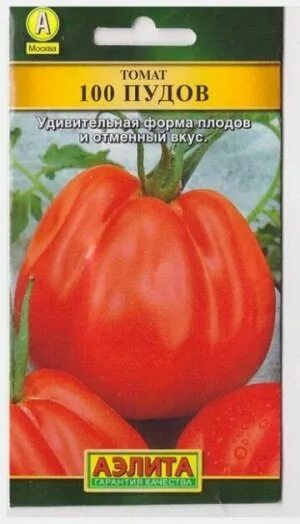 koiko 3541 - купить по выгодным ценам в интернет-магазине OZON (1155194712)