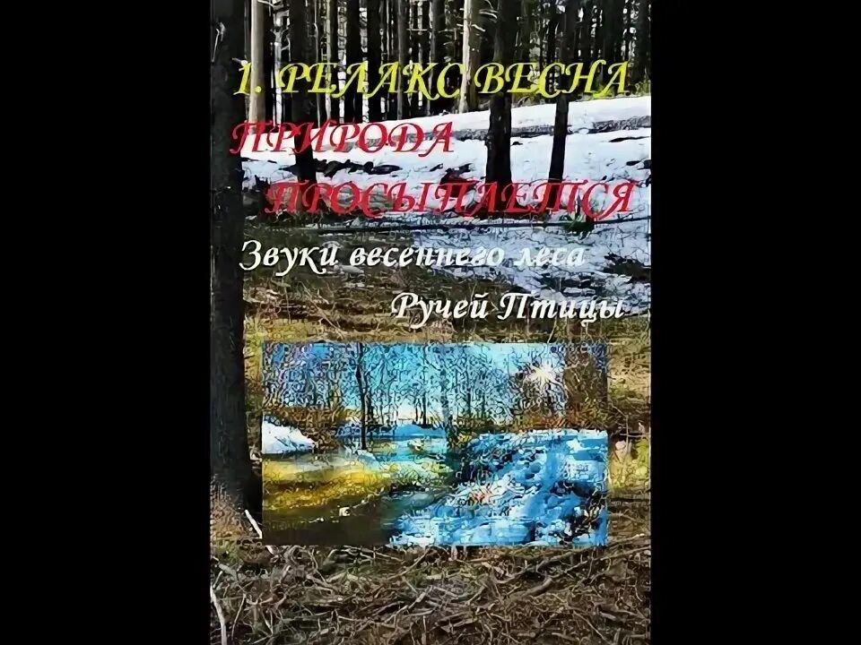 Первые звуки весны. Звуки весеннего леса. Трели в лесу весеннем. Аудиозапись звука весеннего леса и ручья. Звук весны ранней аудио.