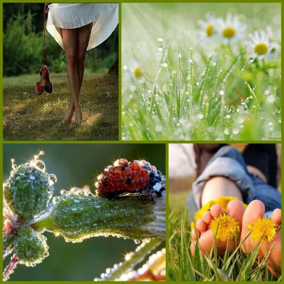 По земле босиком песня. Пенка кота леопольда текс. По земле босиком песня. Если добрый ты ноты для фортепиано. Дождик дождик босиком по земле.