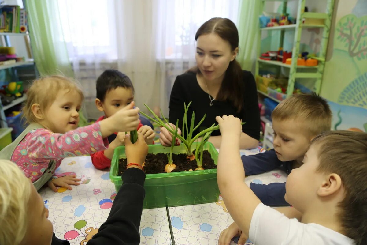 Дети сажают лук в детском саду.