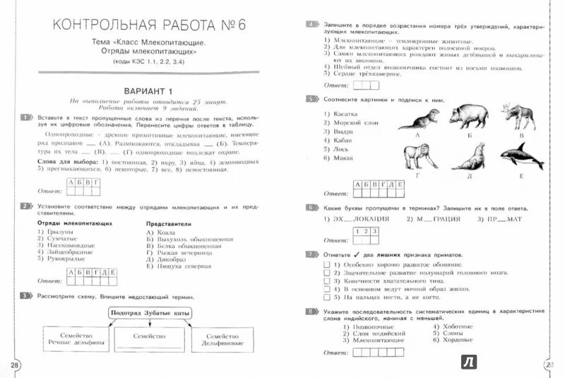 Контрольная работа по биологии млекопитающие 8 класс. Класс млекопитающие проверочные задания. Проверочная работа млекопитающие. Проверочная классы млекопитающих. Биология 7 класс задания.