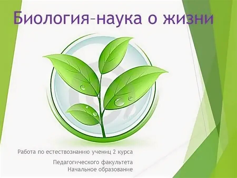 что такое концепция современного естествознания кратко.