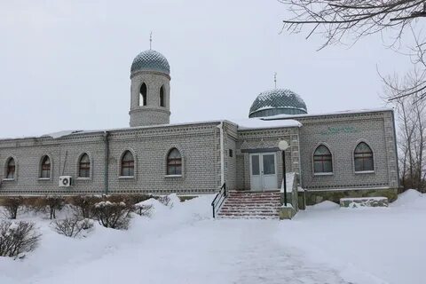Село павлодарское