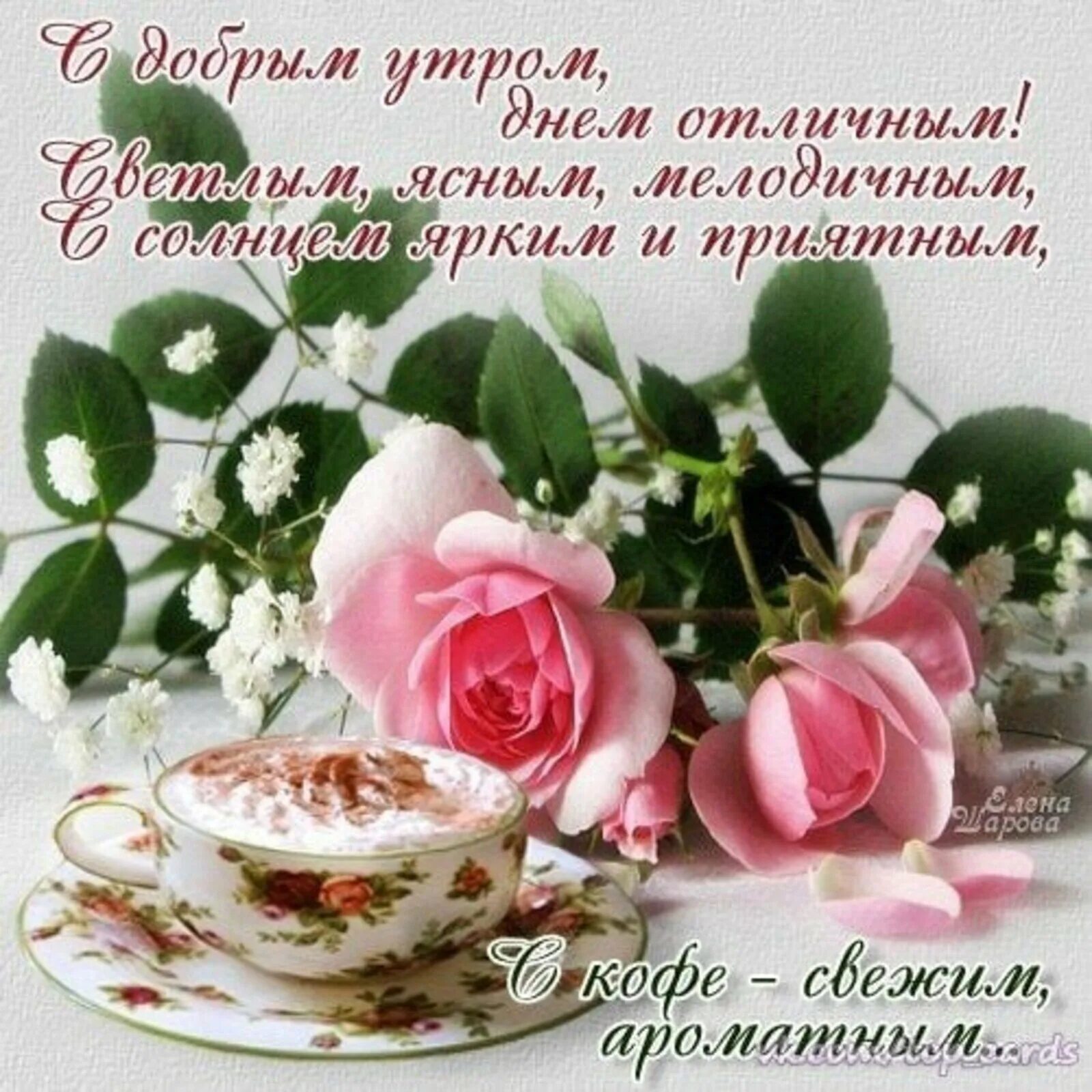 Милые добрые пожелания доброго дня утром. Утренние цветы с пожеланиями. открытки с добрым утром и добрыми пожеланиями. с добрым утром цветы пожелания. пожелания доброго утра и доброго дня.