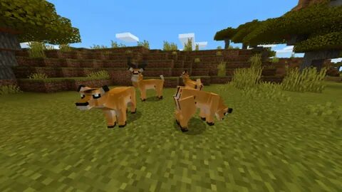 Better animals plus