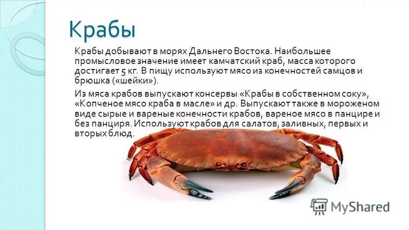 чувствуют ли крабы боль когда их варят