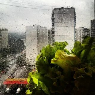 Осколки лета