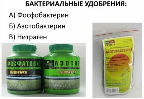 Какие удобрения дать