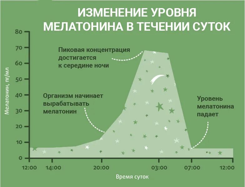 Сколько вырабатывает организм. Мелатонин график выработки. Для выработки мелатонина. Выработка мелатонина во сне. Мелатонин часы выработки гормона.