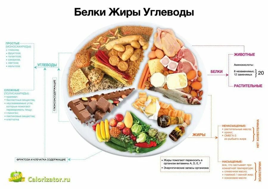 Блюд белки углеводы. Правильное питание белки жиры углеводы таблица. белки жиры углеводы в рационе схема. схема правильного питания белки жиры углеводы. рациональное соотношение белков углеводов и жиров в диете.