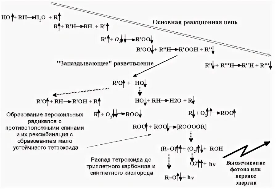Радикально цепные реакции. Радикально цепные реакции