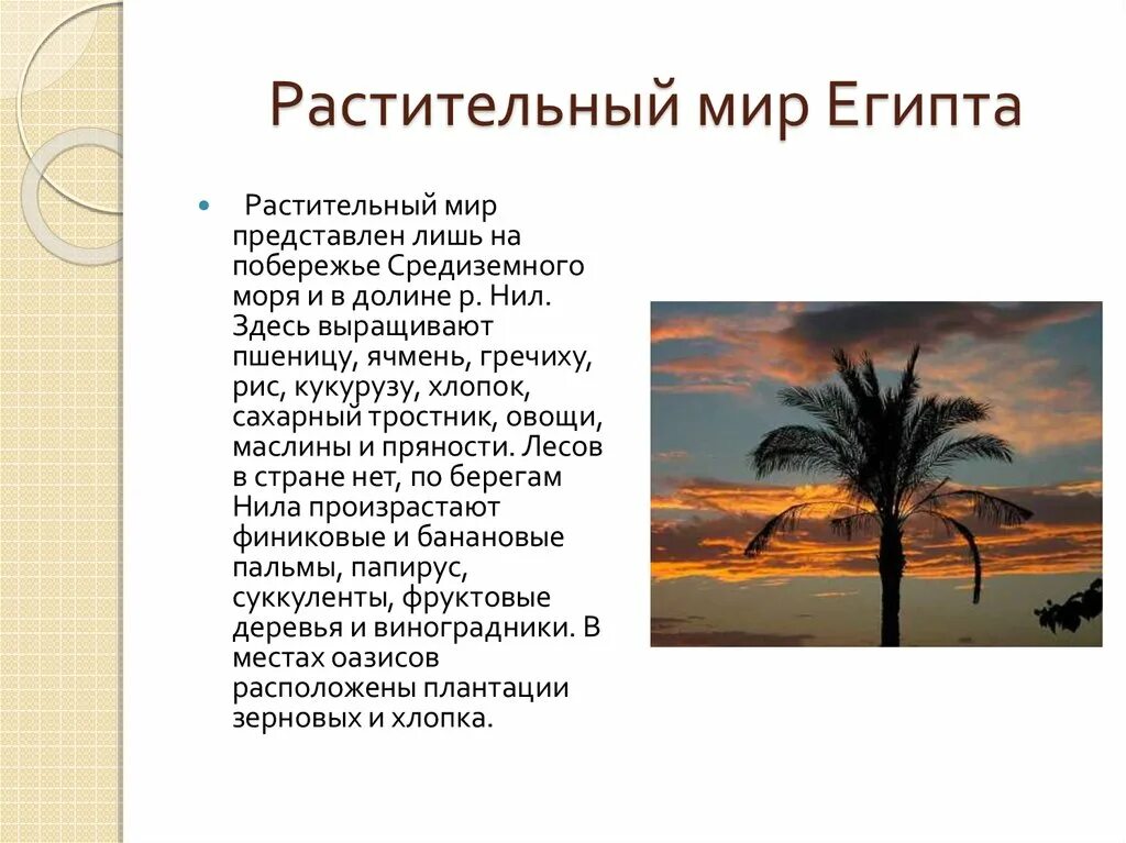 Природные зоны египта и их основные особенности. Растительный мир древнего Египта. Растительный и животный мир Египта. Египет растения кратко. Растительность Египта география 7.