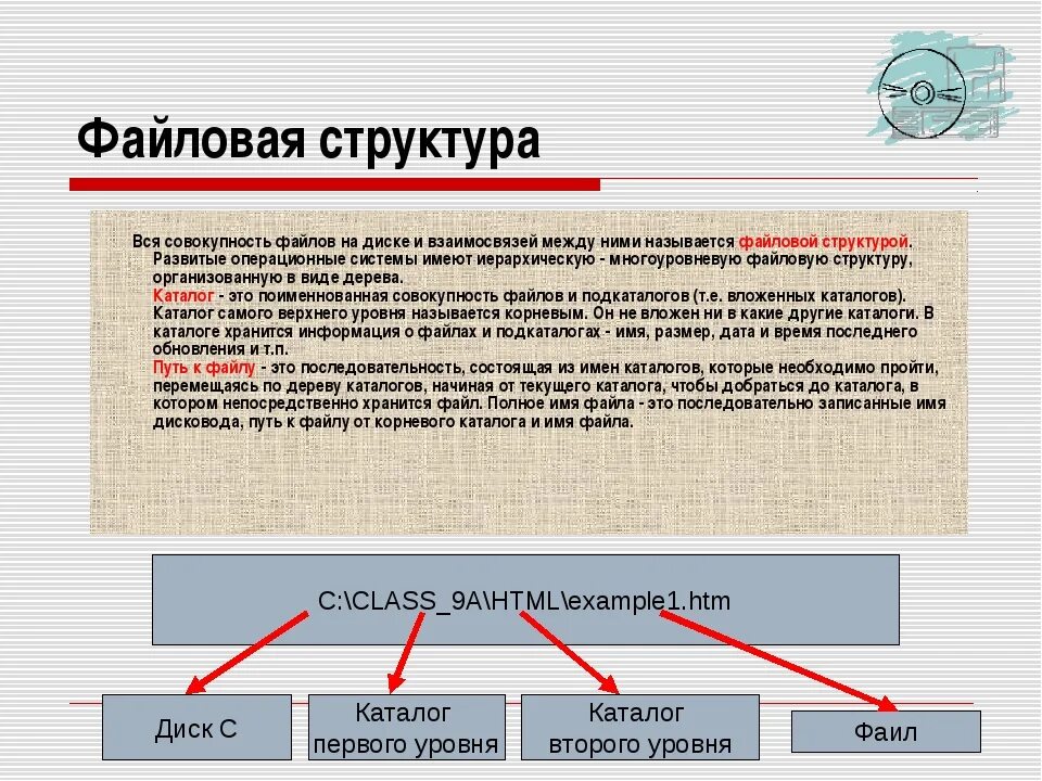 Совокупность файлов на диске и взаимосвязей между ними это. Какая информация хранится в каталоге. Какая информация хранится в каталоге документы. Файлы и каталоги. Как называется совокупность информации