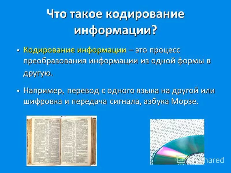 А что такое кодирование. Кодирование. кодирование это в биологии. кодировать человека.