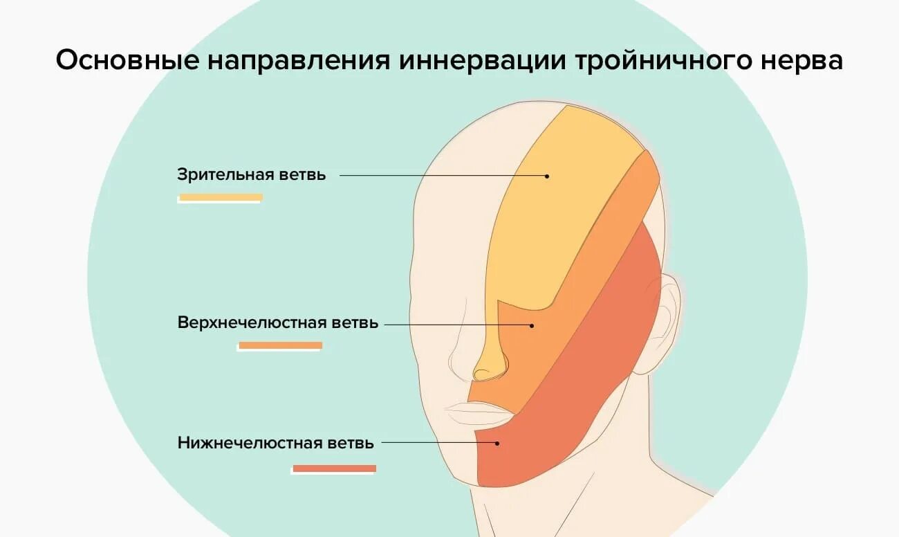 Троичный лицевой нерв воспаление лечение. Терапия невралгии тройничного нерва. Невралгия тройничного нерва триггерные зоны. Невралгия 3 ветви тройничного нерва. Невралгия тройничного нерва иннервация.