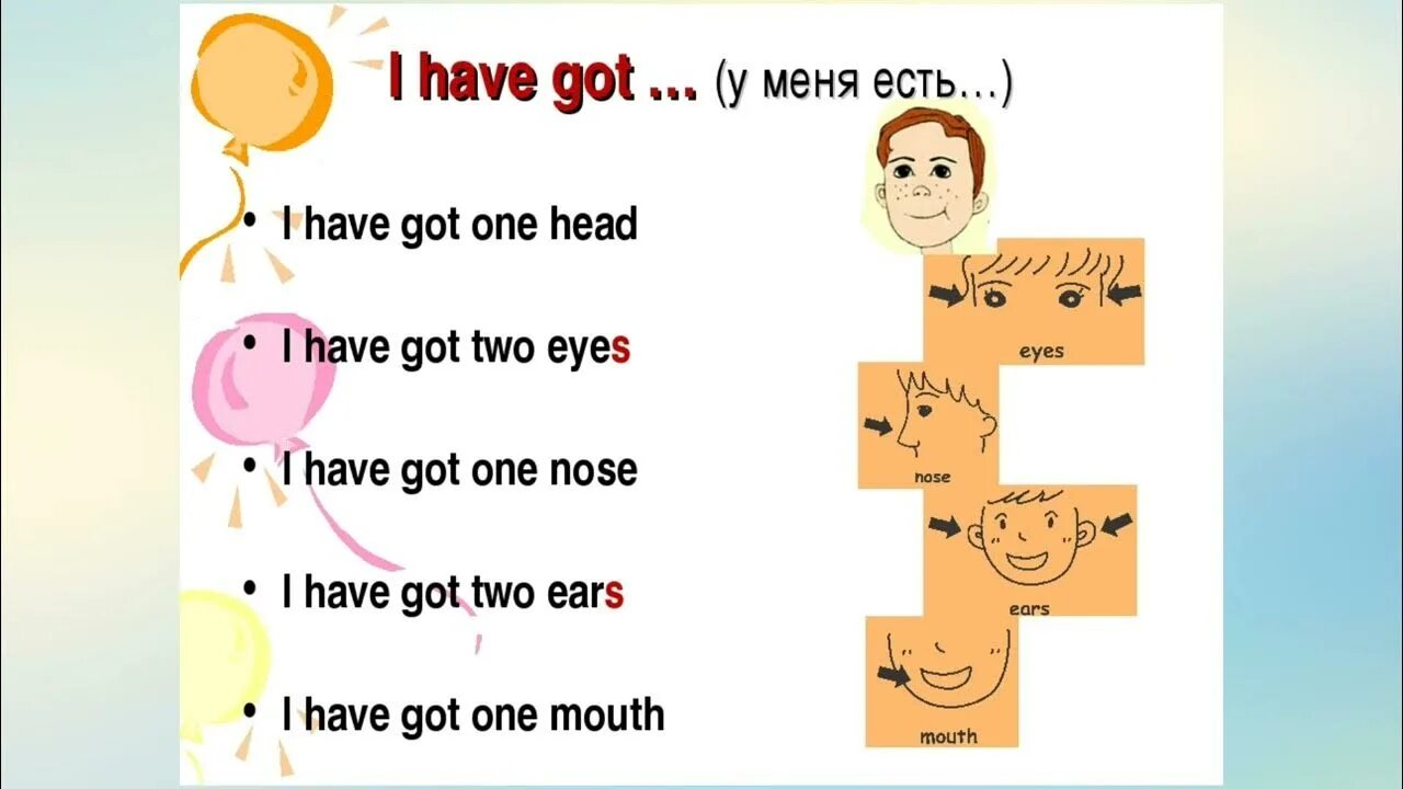 Has it got a thin body. Стих про части тела на английском для детей. I have для детей. Тело на английском для детей. Стишки для запоминания частей тела на английском.