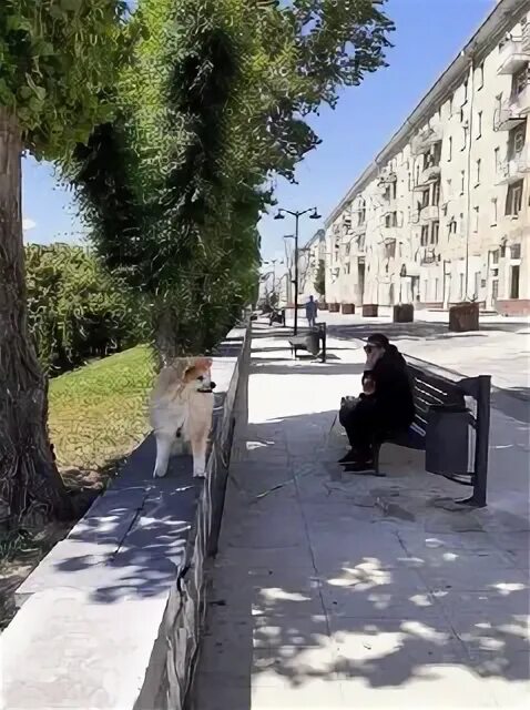 городской смотритель