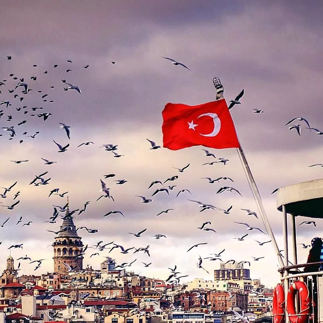 Турецкий флаг Стамбул. Турция Султанахмет флаг. Флаг Турция Истанбул. Анкара Турция флаг.