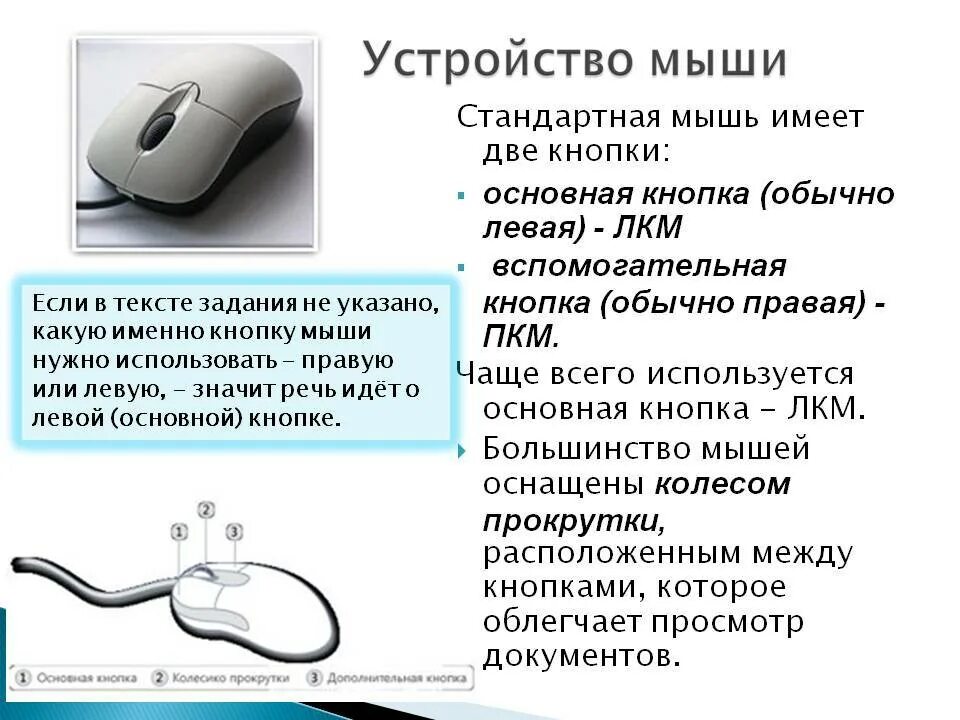 Функции кнопок мыши. Устройство компьютерной мышки. Описание компьютерной мышки. Мышь это устройство.