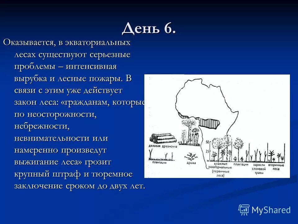 шесть выясниться. базаров нигилист. вероятность изготовления детали первого сорта. декарт о любви. шесть выясниться.