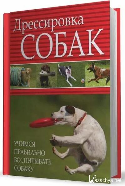 Как правильно воспитывать собаку. Книги о воспитании собак. Воспитание и дрессировка собак. Книга по дрессировке собак. Дрессировка собак книга.