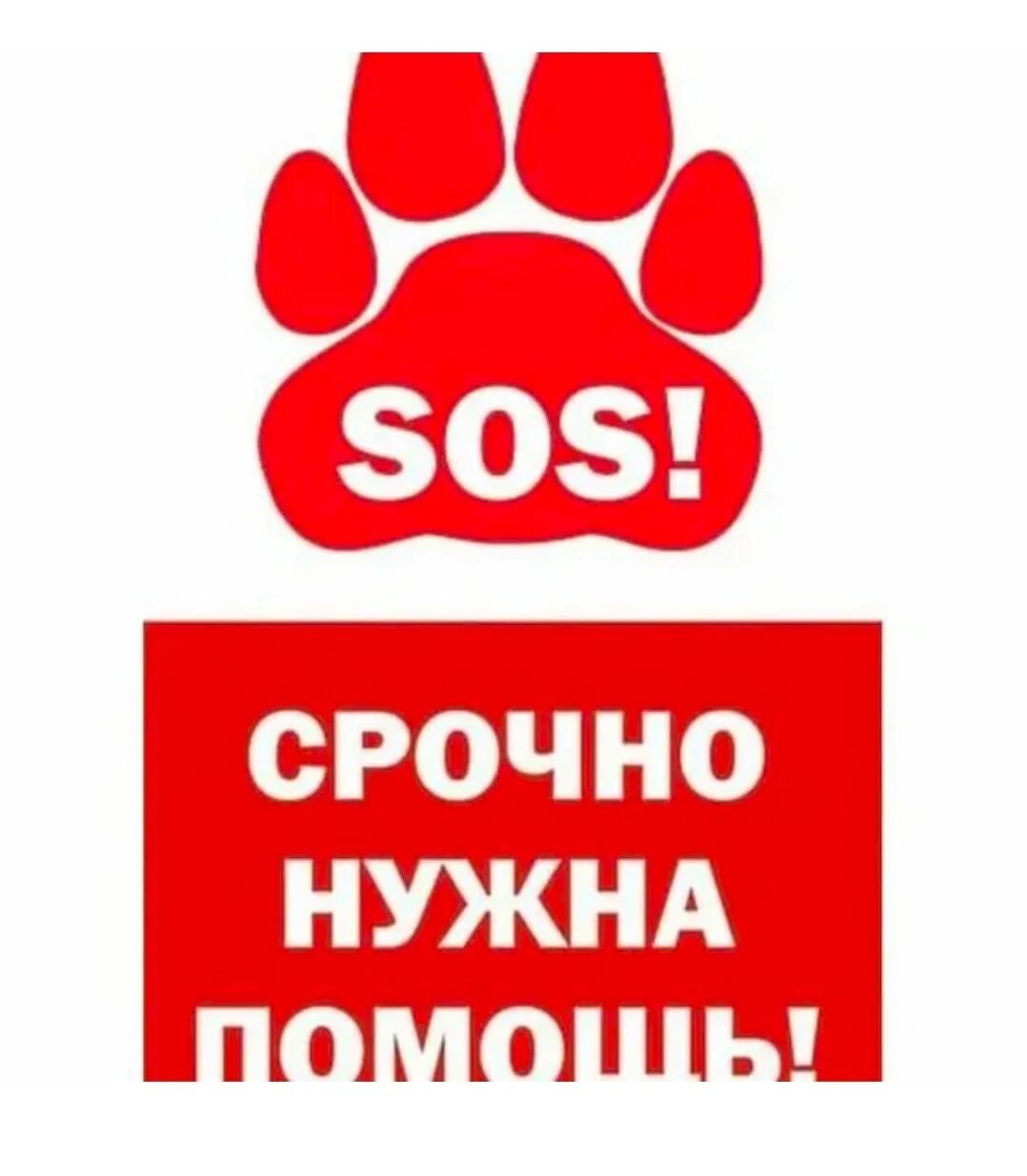 Нужна помощь собаке. Нужна помощь. Сос нужна помощь. Срочно нужна помощь. Срочная помощь на карту