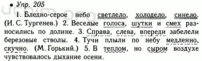 Русский язык 5 класс номер 699. Бледно-серое небо светлело холодело синело. Русский язык 5 класс стр 95. Русский язык 5 класс номер 205.