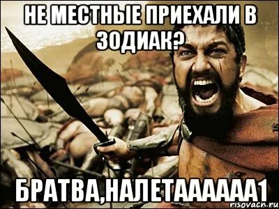 Сука 11