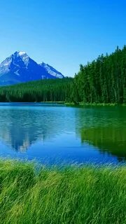 Картинки на смартфон природа
