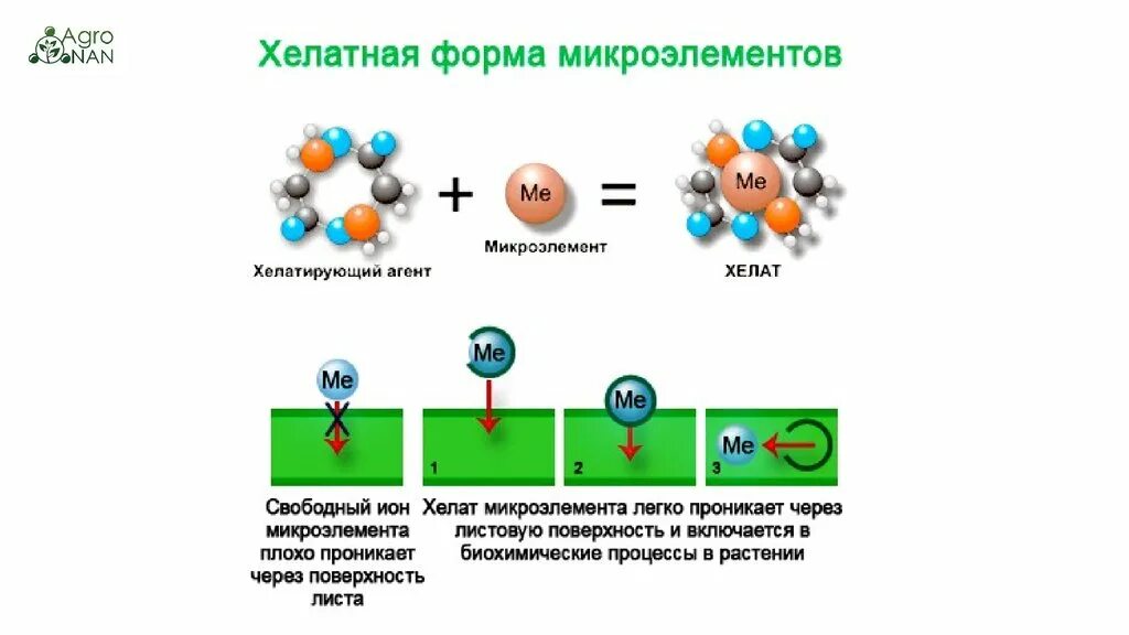 Хелат для чего нужен организму. Хелатная форма. Микроудобрения презентация. Микроэлементы в почве. Биологическая роль микроэлементов в почве..