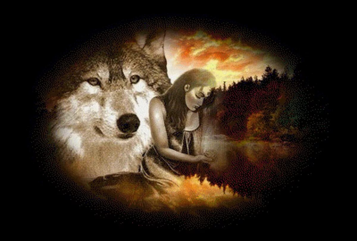 Одинокая волчица читать. Волчица и девушка. Девушка с волком. Волк и волчица. Волк одиночка.