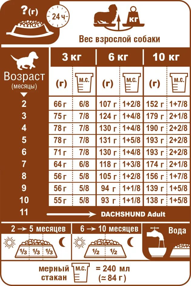 Норма сухого корма для щенков 2 месяца в день. Норма сухого корма для щенка МОПСА В 3 месяца. Норма сухого корма для щенков 5 месяцев. Норма сухого корма для щенка 4 мес.