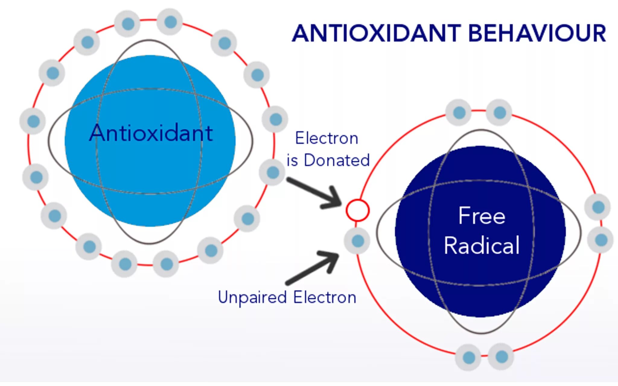 Antioxidant journal