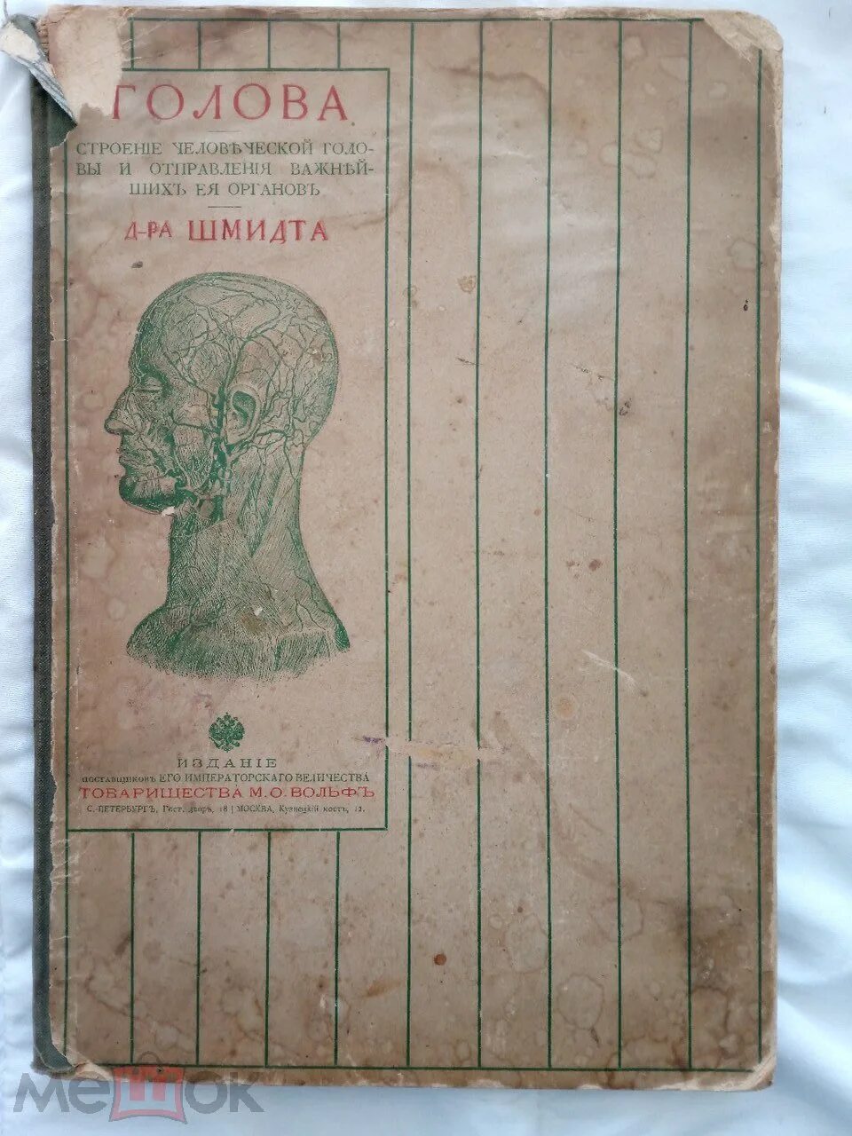 The book in 1900. Книги 1900 годов. Детские книги 1900 годов. Книга 1900-х годов. Книга 1900 вся Россия.