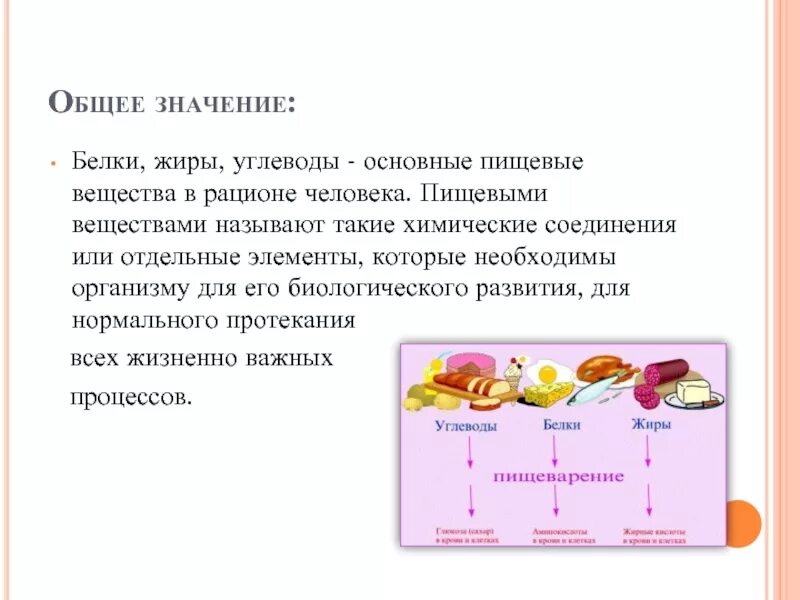 Какие функции белков жиров и углеводов. Из чего состоит рацион человека белки, жиры, углеводы. Важные химические соединения белки жиры углеводы. Белки жиры углеводы функции в организме таблица. Биологически важные вещества жиры белки углеводы.