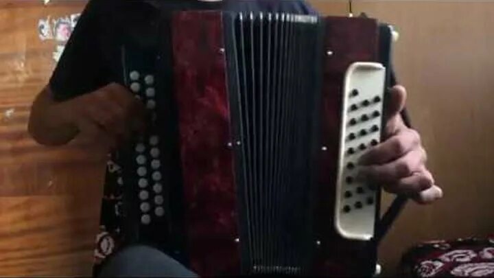 Песня белая береза гармонь. Гармонь березка. Песня белая береза гармонь. Песни под гармонь белая береза. Белая береза клонит ветви до земли.