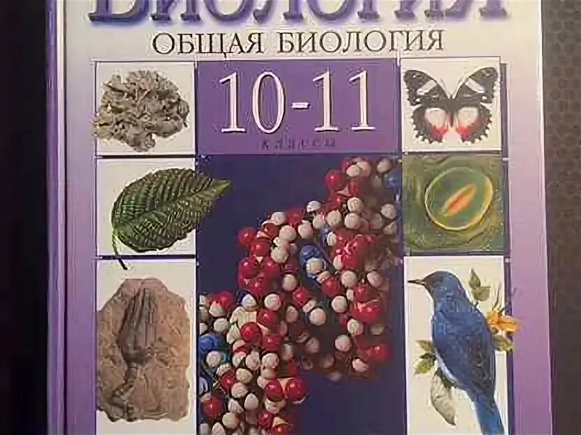 Теремов петросова биология 10-11 класс. А. , пасечник в. Авито учебник по биологии. В.