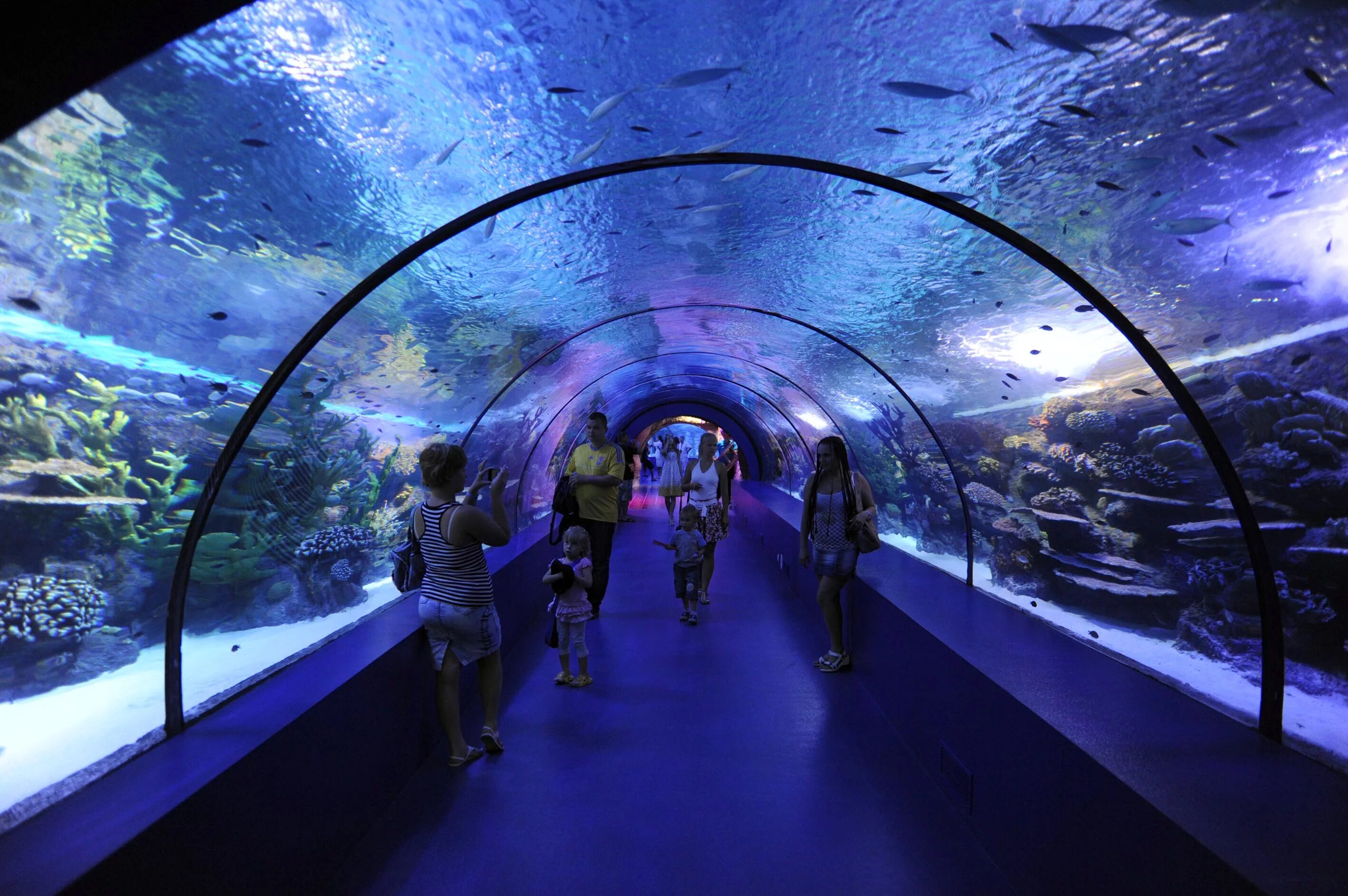 Океанариум Antalya Aquarium. Океанариум в Турции Анталия. Анталия океанариум в Анталии. Океанариум Куала Лумпур.