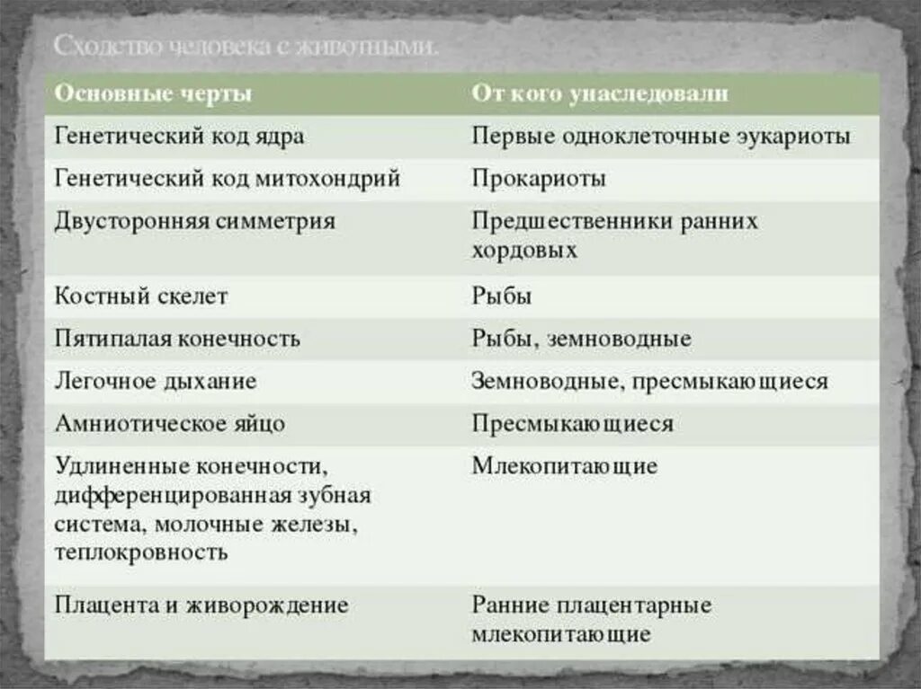 Отличие и сходства людей. Сходство и различие человека и животных таблица биология 8 класс. Сходства и различия человека и животного. Отличие и Схожесть человека и животного. Сходства и отличия человека и животных таблица.