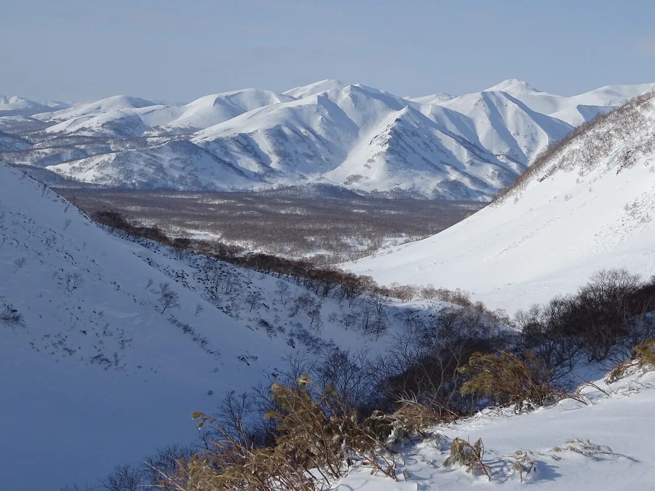 Таежный распадок. Распадок в горах. Распадок на склоне. Распадком ущелья. Распадок это