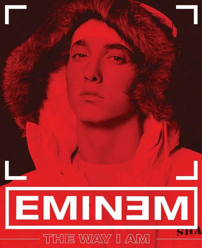 They way i are. Eminem 2000 the way i am. Эминем книга. Eminem the way i am book. The way i am книга.