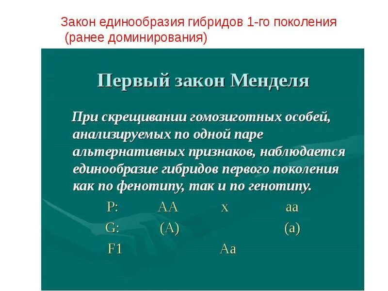 1 Закон единообразия гибридов первого поколения. Первый закон Менделя закон единообразия гибридов первого поколения. Первый закон Менделя при скрещивании. При скрещивании гибридов первого поколения.