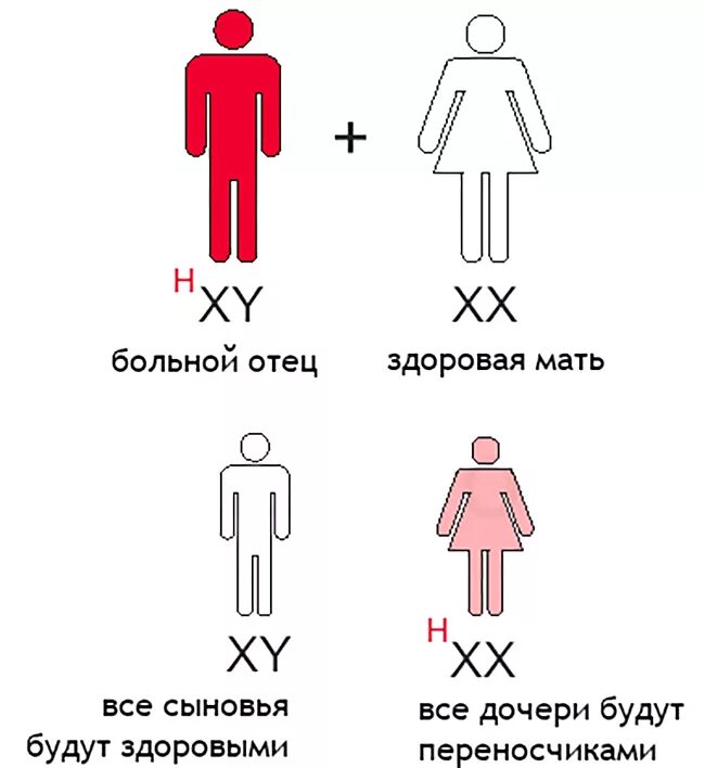 Рождение ребенка больного гемофилией. Отец болеет гемофилией мать здорова. Дочь больная гемофилией. Гемофилия инфографика.