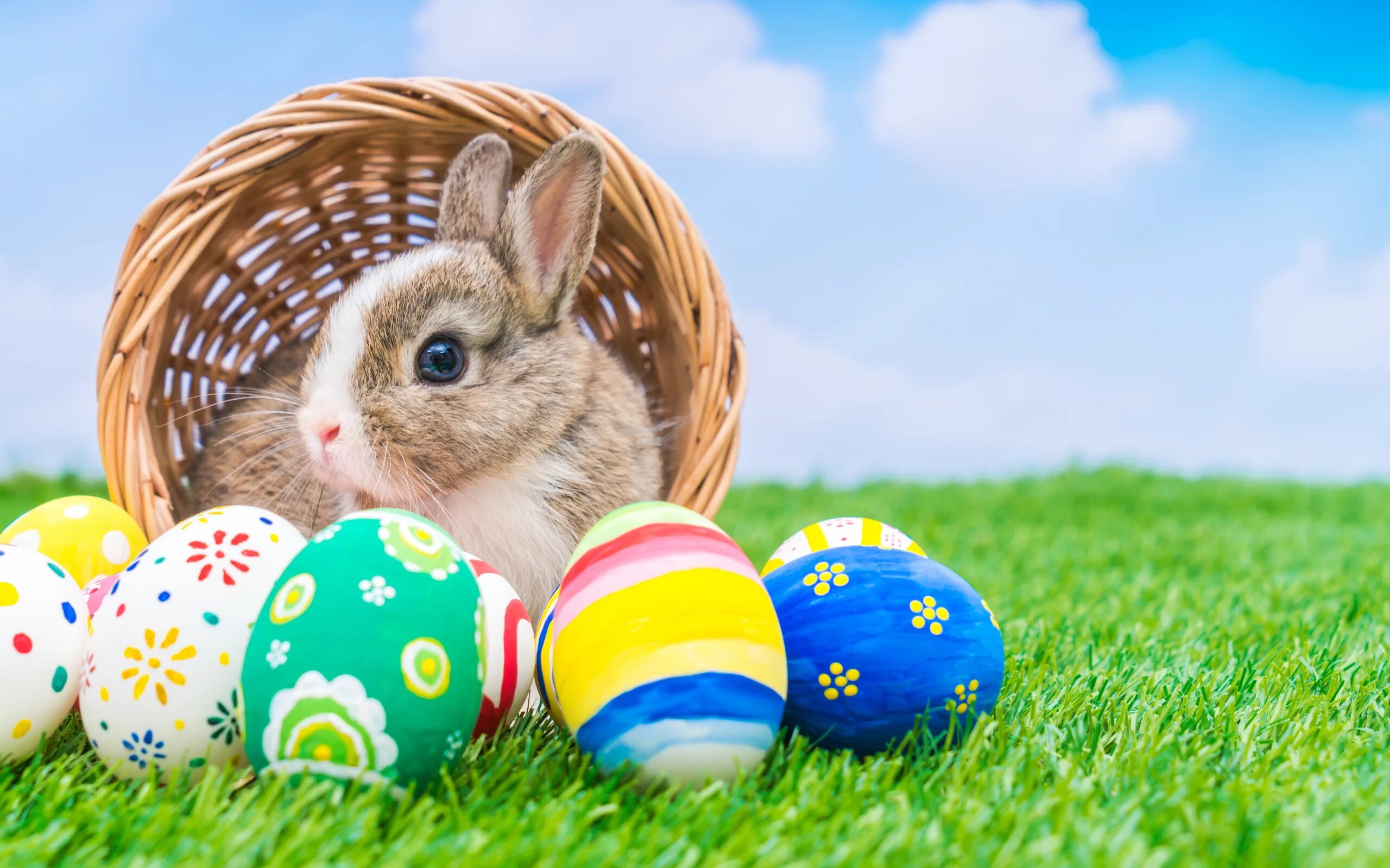 Пасхальный кролик Ostern. Easter Bunny — Пасхальный кролик. Пасхальное яйцо. Пасхальный заяц с яйцом. Пасха в 1974 году
