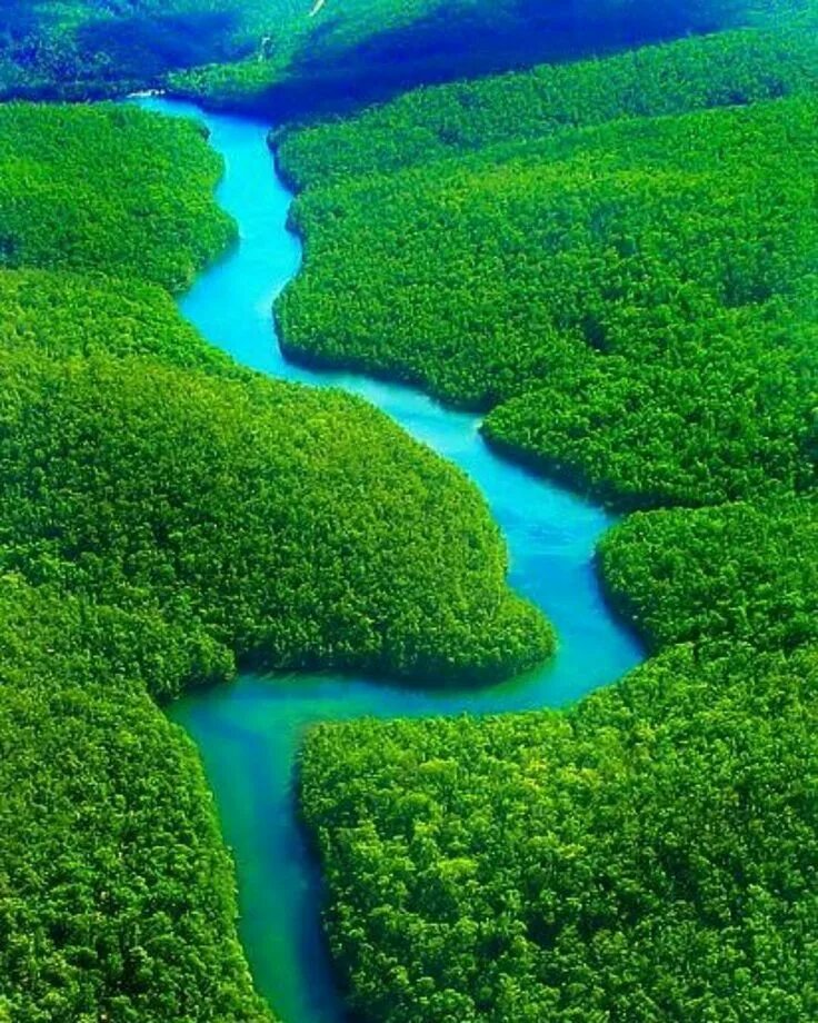 What are the largest rivers