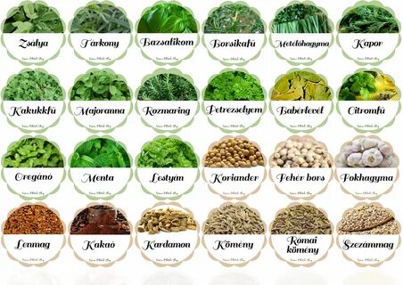 Spice на русском