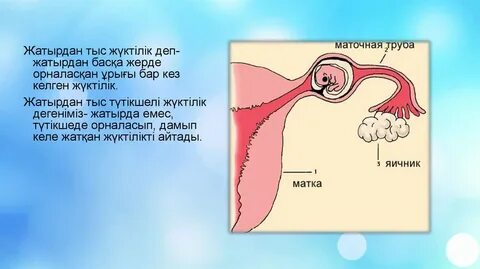 Мас әпкемен анальный секс